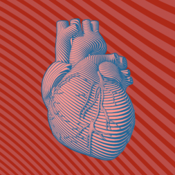 cardiovascular 