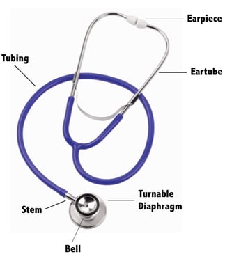 The Anatomy of a Stethoscope | ThriveAP