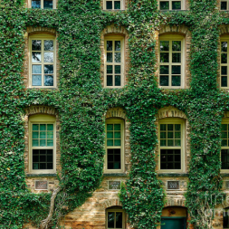 How Much Will an Ivy League Nurse Practitioner Education Cost You?