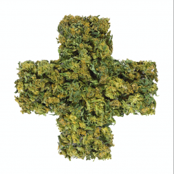 Cannabis Considerations: Treating Patients Who Use Marijuana